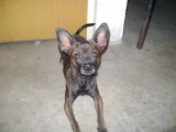 Avatar de jogato