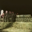 Barcerock Rockmario