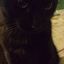 Jaiboo Murillo
