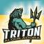 Alquiladora Tritón