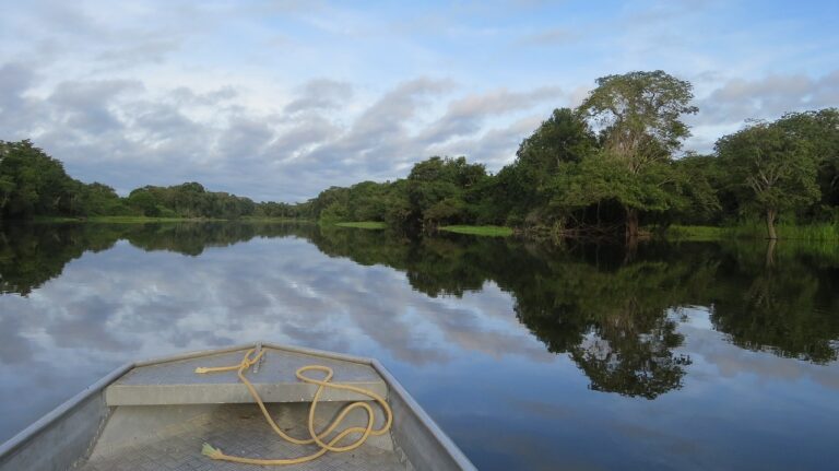 La Amazonia