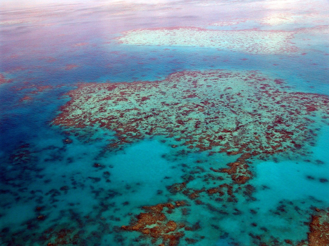 La Gran Barrera de Coral